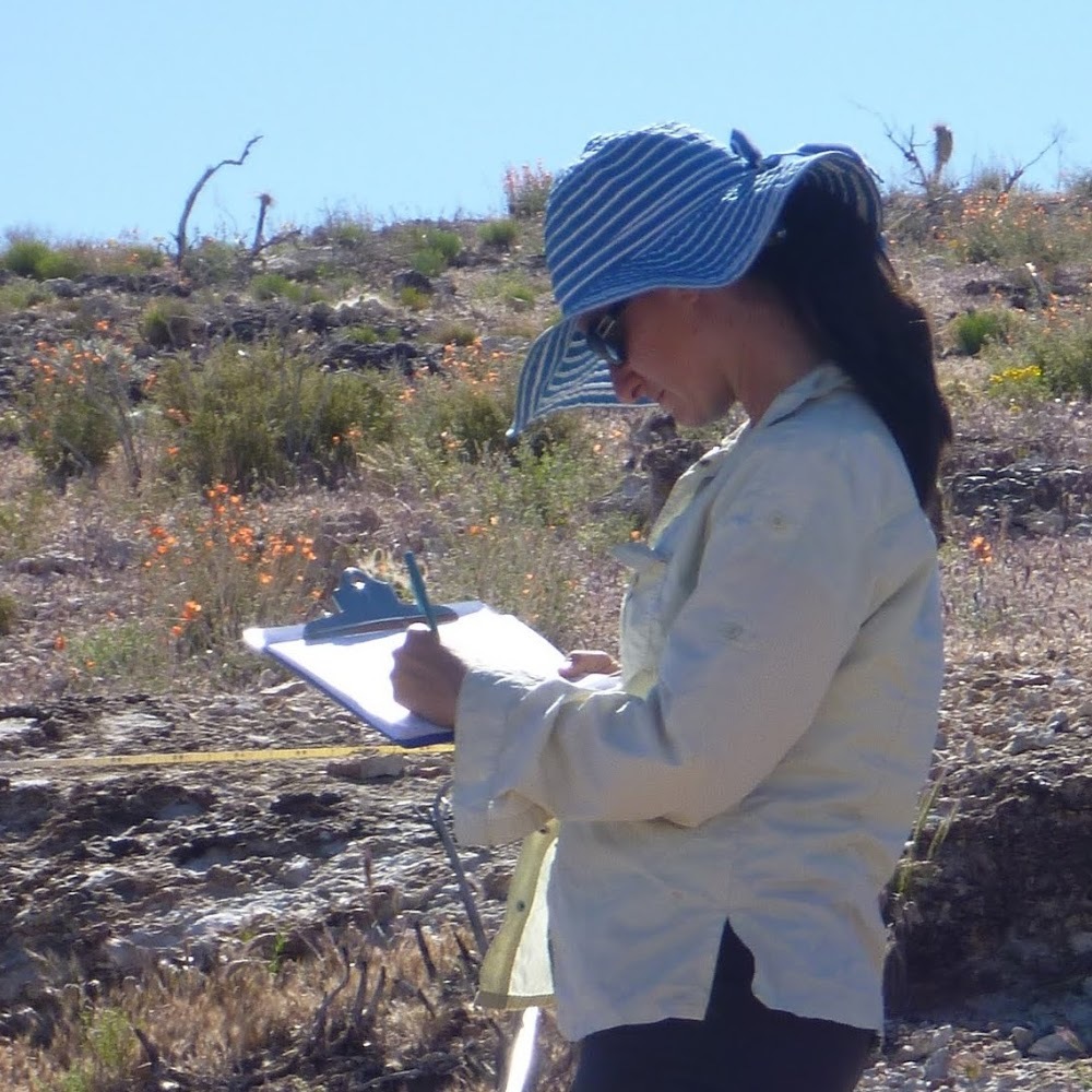 Meet your Posher, Cayenne